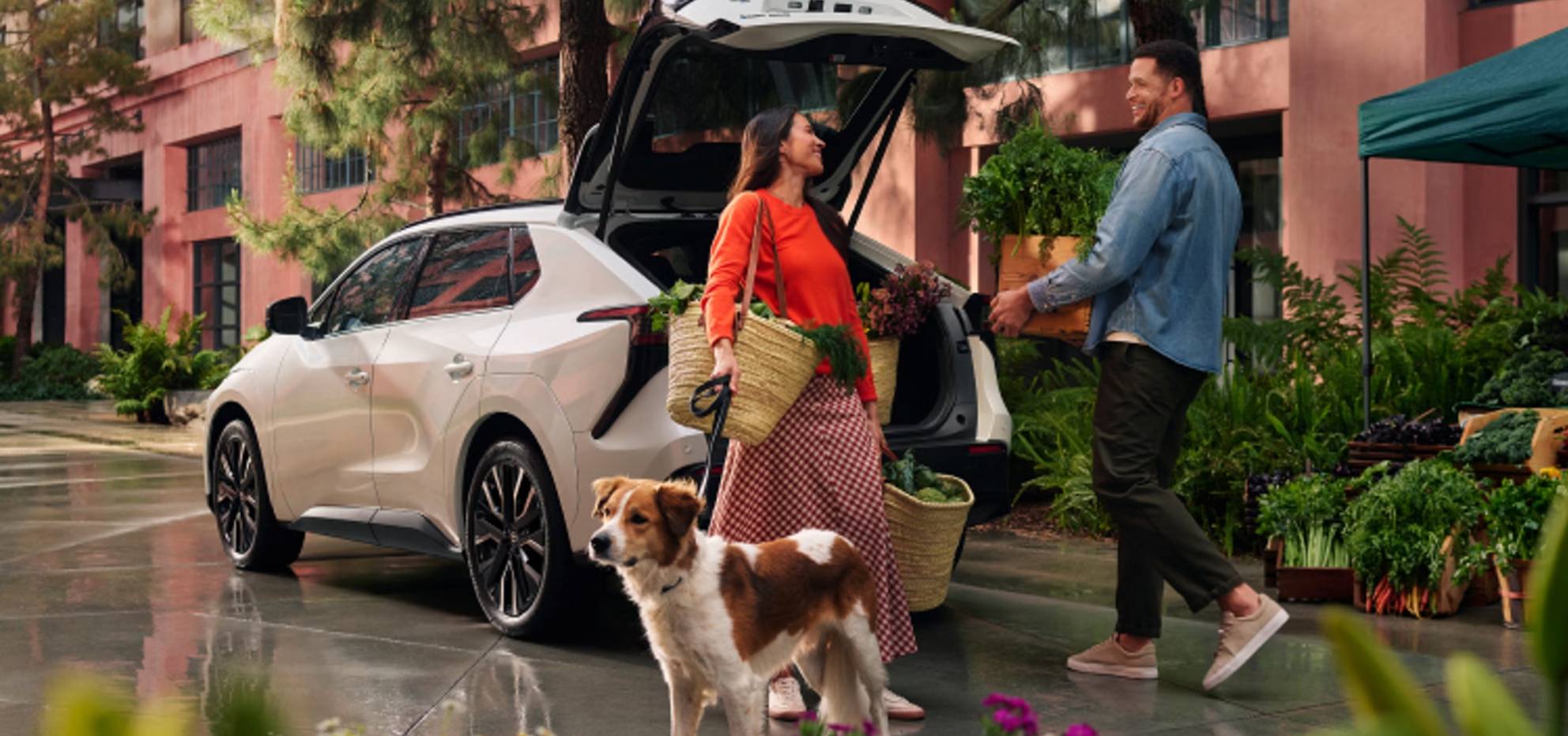 Picture of a man holding grocery bags and woman with a dog on a leash standing outside of their vehicle.